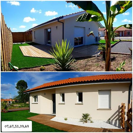 Maison Neuve 66M2 Biscarrosse Exteriör bild